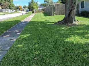 Connie N.'s turf maintenance service result