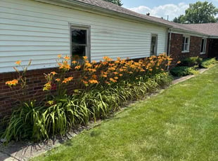 Andre O.'s Landscaping service result