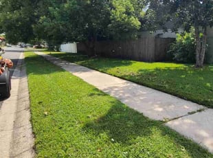 Michelle C.'s lawn service service result
