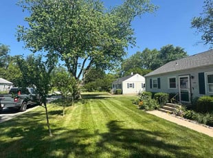 Wil D.'s lawn maintenance service result