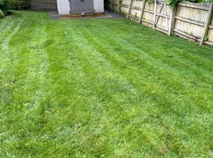 Jennifer N.'s turf care service result