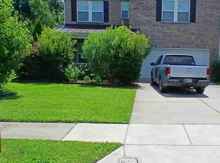 Vincent W.'s lawn maintenance service result