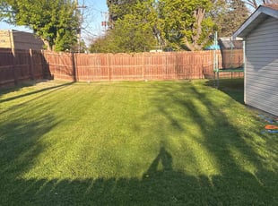 Connie V.'s grass cutting service result