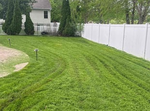 Cecilia A.'s grass cutting service result