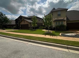 Sagar R.'s turf care service result