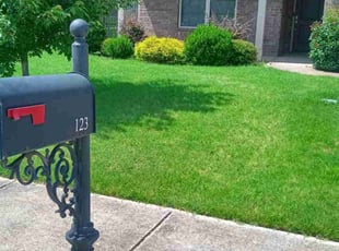 Stefanie H.'s lawn service service result