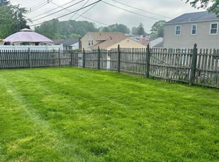 Mike M.'s turf maintenance service result