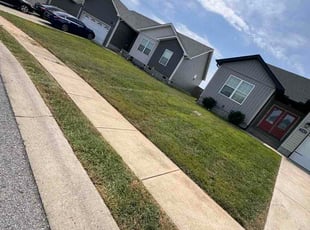 Jocelyne A.'s lawn care service result