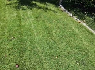 Lashondra C.'s lawn care services service result