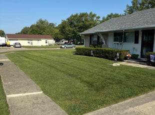 Jana M.'s turf maintenance service result