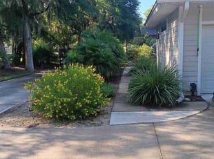 Lisa M.'s lawn maintenance service result