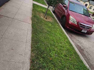 Erin N.'s turf maintenance service result