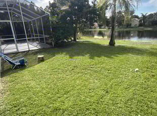 Dave B.'s turf care service result