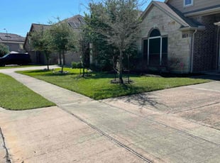 Nathaniel B.'s lawn service service result