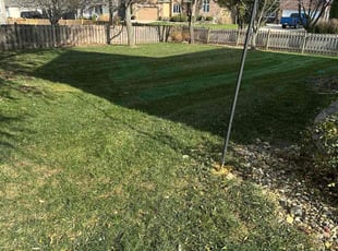 Jason C.'s Leaf Removal service result