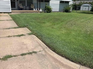 Joshua J.'s lawn service service result