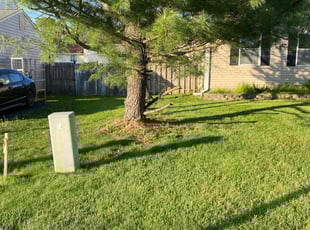 Michael K.'s lawn maintenance service result
