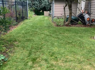 John H.'s lawn care service result