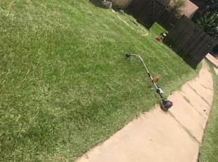 Carolyn B.'s lawn care service result