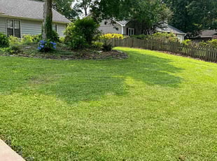 Bethany D.'s gardening service service result