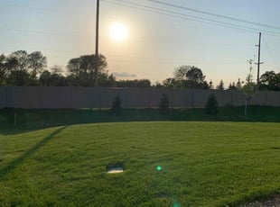 Tonjia D.'s turf maintenance service result