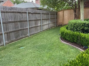 William F.'s turf maintenance service result