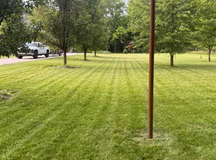 Samantha S.'s lawn maintenance service result