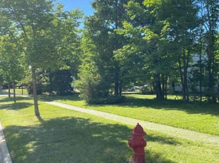 Christine M.'s residential landscaping service result