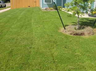 Talon B.'s yard work service result