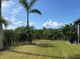 Alessandra C.'s Bush Trimming service result