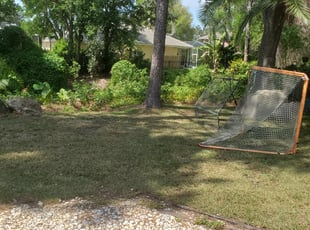 Cynthia K.'s Leaf Removal service result