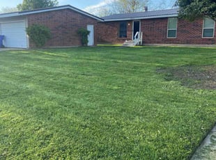 Johnnie B.'s grass maintenance service result