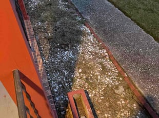 Michelle C.'s Other service result