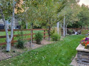 Keri L.'s turf maintenance service result