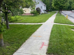 Crystal C.'s lawn care service result