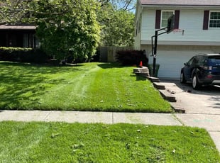 Nick M.'s grass maintenance service result