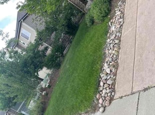 Rhonda S.'s grass maintenance service result