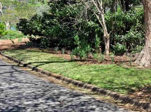 Valerie B.'s turf maintenance service result