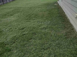 Monica B.'s lawn maintenance service result