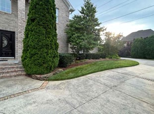 Duncan H.'s grass maintenance service result