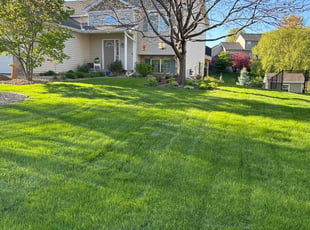 Coriander W.'s lawn maintenance service result