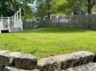 Telisha B.'s turf care service result