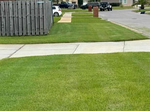 Albert H.'s grass maintenance service result