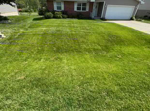 Judy S.'s grass maintenance service result