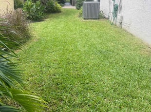 Monica M.'s turf maintenance service result