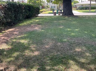 Kristen L.'s grass maintenance service result