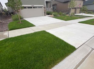 Nakeshia W.'s turf care service result