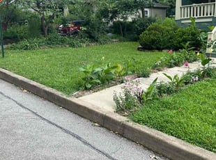 Azhanee S.'s lawn maintenance service result