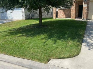 Nikki T.'s lawn care service result