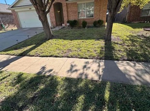 Jenny D.'s grass maintenance service result